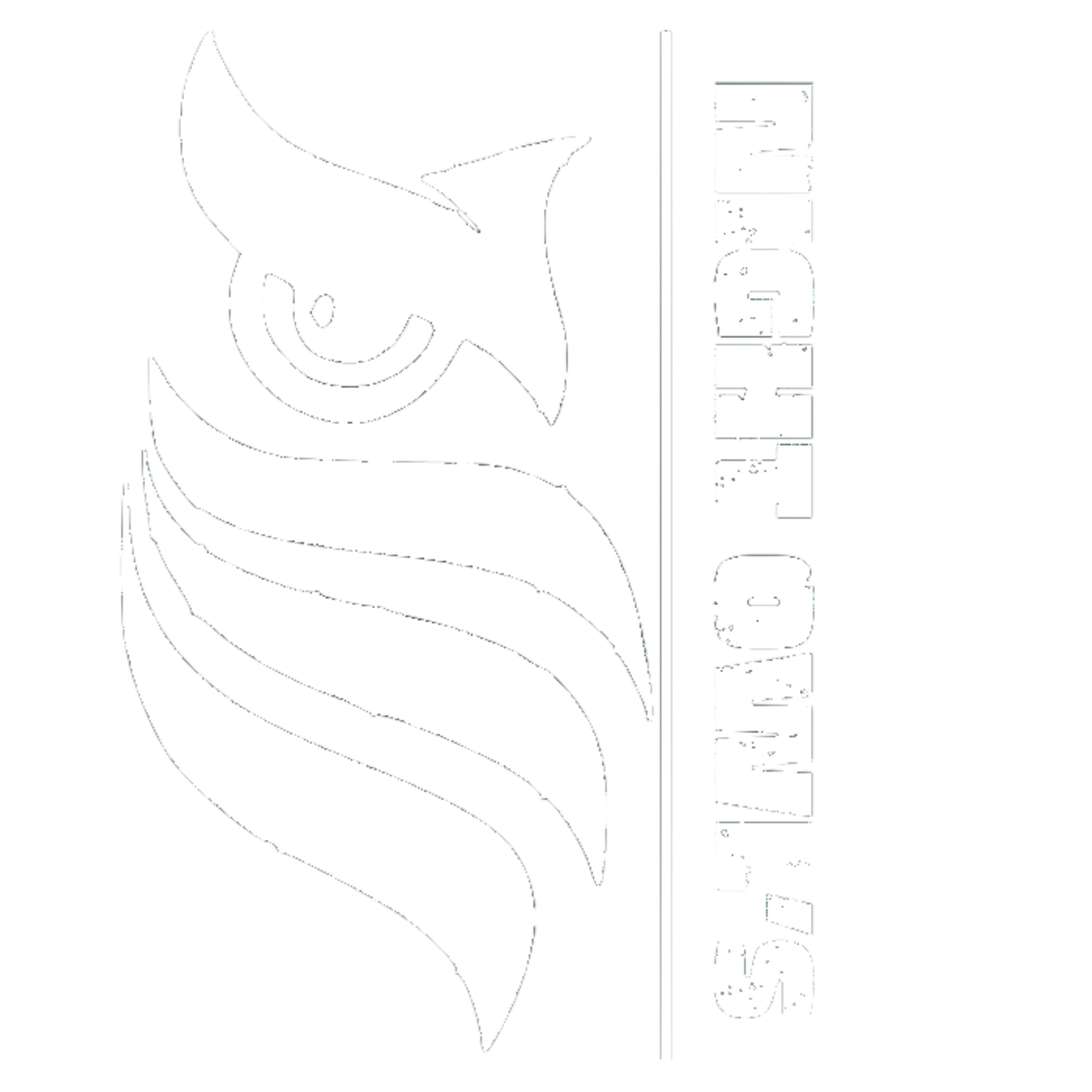 Night-Owls Logo